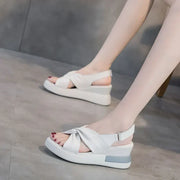 Beige-Blanco