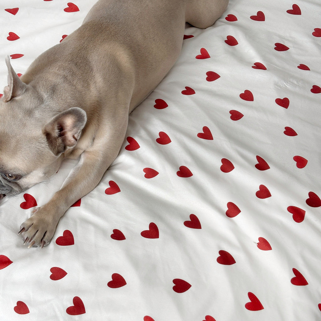 Juego de cama de tejido para hogar motivo corazones