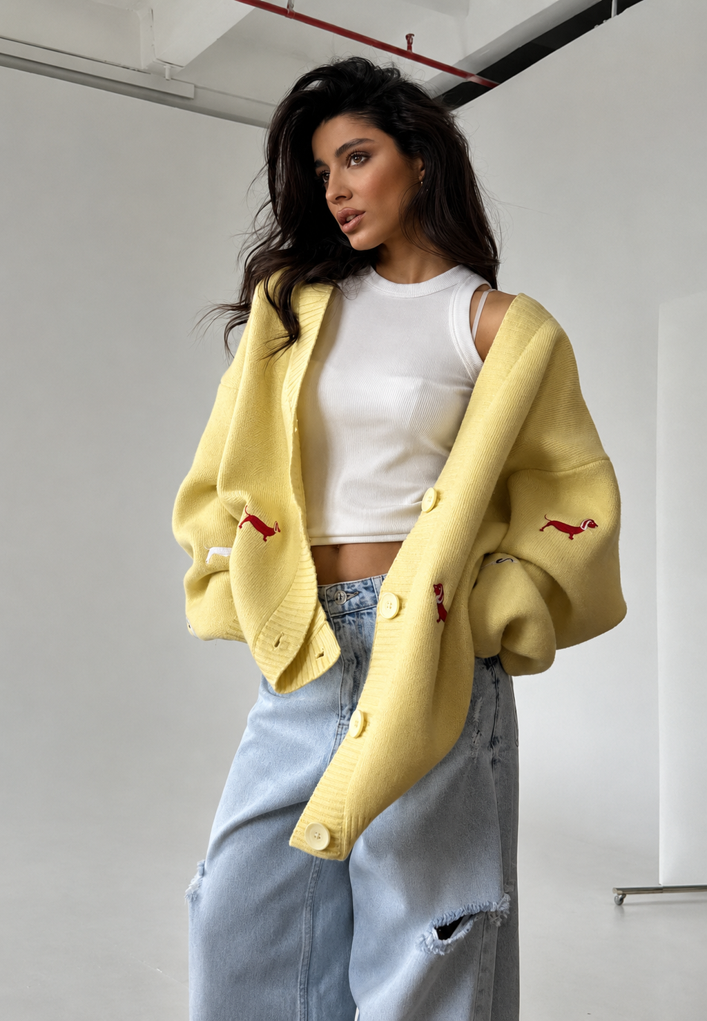 Cárdigan mujer oversize cuello pico botones motivos perro salchicha - Marlis