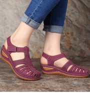 Morado