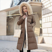 Marrón/beige